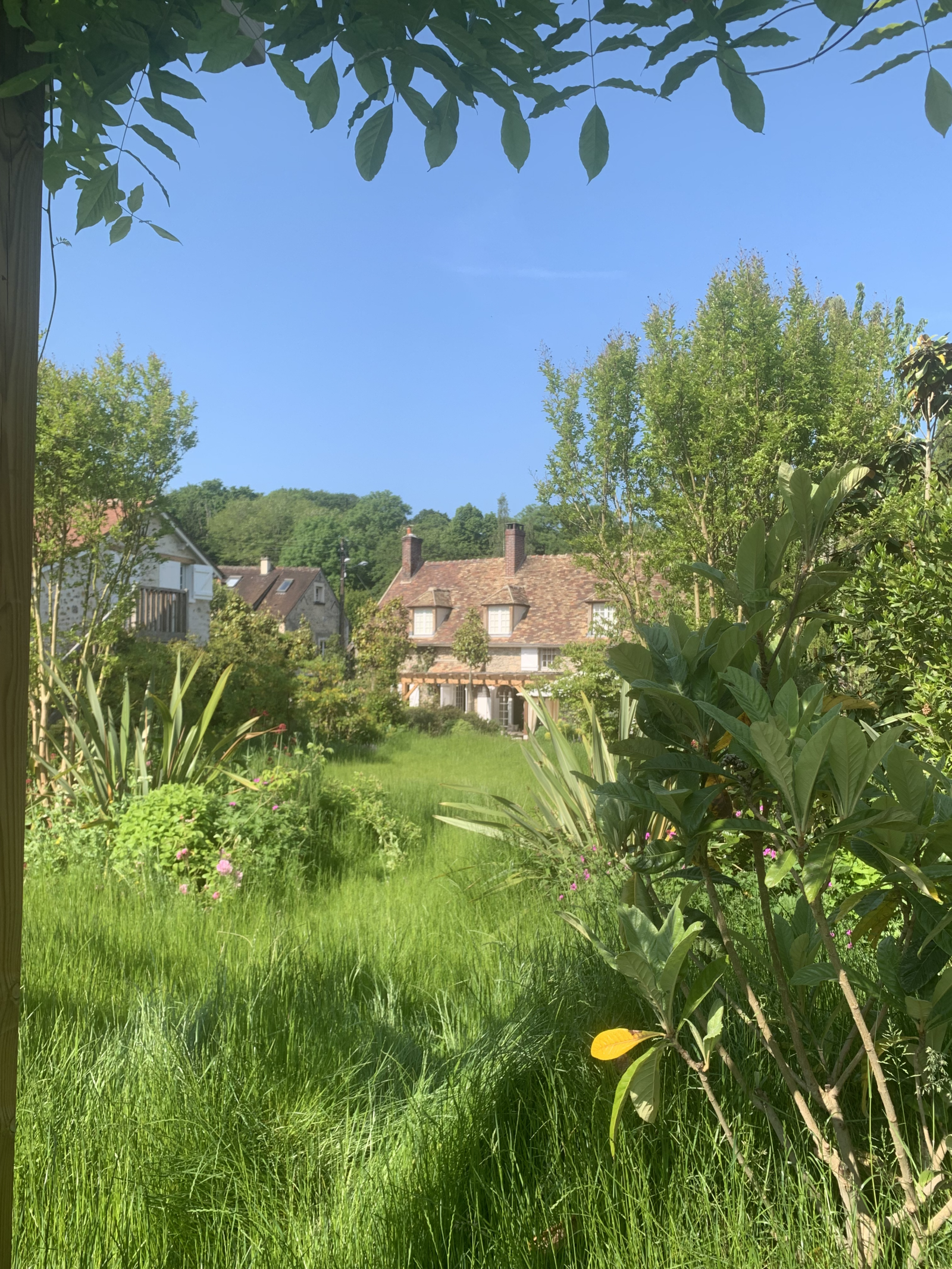 Stages thérapeutiques en immersion pour psychologues dans les Yvelines, constellations familiales et respiration holotropique